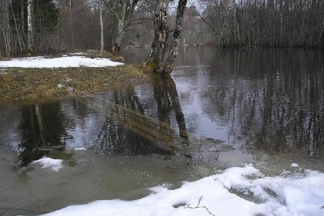 Дома для отпуска Lonni Nature Eco-Accommodation Hagudi-30